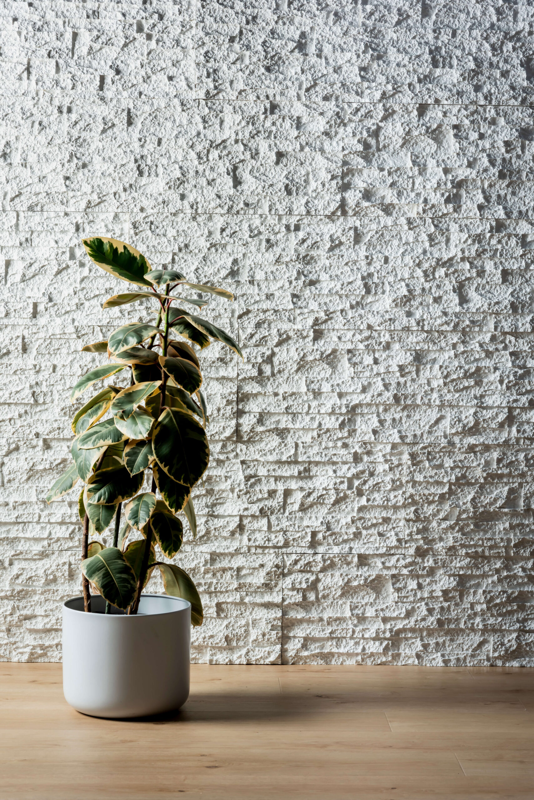 stackstone rockpanel wall in the background in a white colour with a plant to the left and wooden flooring in front