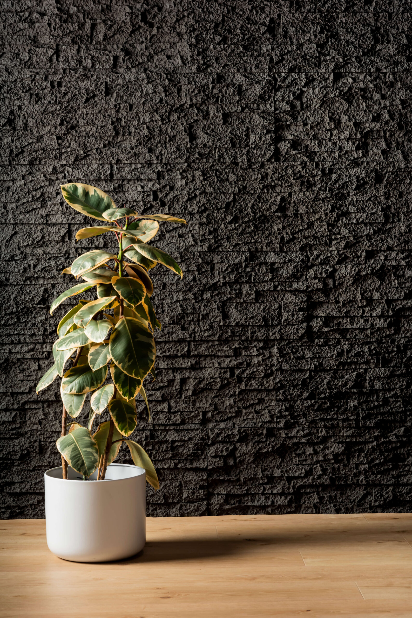 stackstone black rockpanel wall in the background with a plant to the left and wooden flooring in front